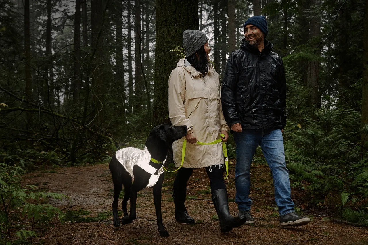 RC Pets Starling Reflective Jacket